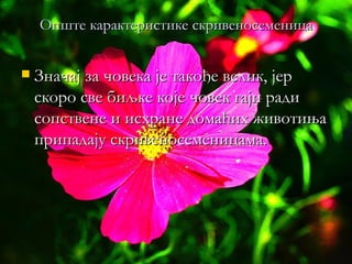 Опште карактеристике скривеносеменица


   Значај за човека је такође велик, јер
    скоро све биљке које човек гаји ради
    сопствене и исхране домаћих животиња
    припадају скривеносеменицама.
 