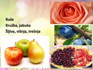 Ruže
Kruška, jabuka
Šljiva, višnja, trešnja
 