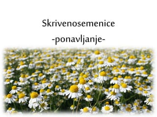 Skrivenosemenice
-ponavljanje-
 