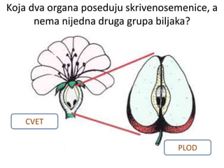 Koja dva organa poseduju skrivenosemenice, a
nema nijedna druga grupa biljaka?
CVET
PLOD
 