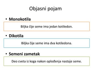 • Monokotila
• Dikotila
• Semeni zametak
Biljka čije seme ima jedan kotiledon.
Biljka čije seme ima dva kotiledona.
Deo cveta iz koga nakon oplođenja nastaje seme.
Objasni pojam
 