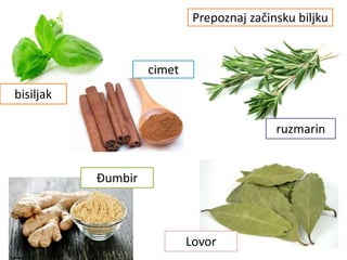 Prepoznaj začinsku biljku
bisiljak
cimet
Đumbir
ruzmarin
Lovor
 