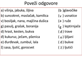 a) višnja, jabuka, šljiva ( )glavočike
b) suncokret, maslačak, kamilica ( ) usnatice
v) bosiljak, nana, majčina dušica ( ) ruže
g) pasulj, grašak, boranija ( ) leptirnjače
d) hrast, kesten, bukva ( ) trave
đ) kukuruz, ječam, pšenica ( ) ljiljani
e) đurđevak, zumbul, lala ( ) bukve
ž) sasa, ljutić, gorocvet ( ) ljutići
a
b
v
g
d
đ
e
ž
Poveži odgovore
 