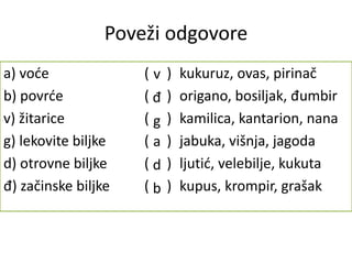 Poveži odgovore
a) voće ( ) kukuruz, ovas, pirinač
b) povrće ( ) origano, bosiljak, đumbir
v) žitarice ( ) kamilica, kantarion, nana
g) lekovite biljke ( ) jabuka, višnja, jagoda
d) otrovne biljke ( ) ljutić, velebilje, kukuta
đ) začinske biljke ( ) kupus, krompir, grašak
a
b
v
g
d
đ
 