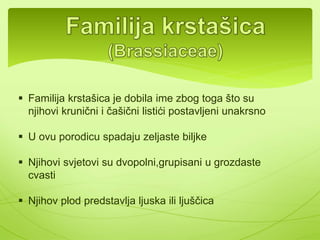 BREZA JOVA GRAB 
 