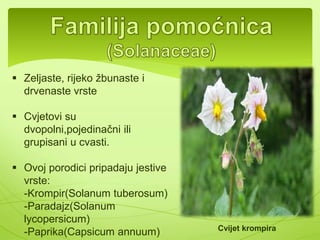 Domaća i šumska jagoda(Fragaria vesca) 
Malina i kupina(Rubus ideaus, Rubus 
fruticocus)... 
 