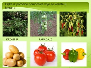 Kao i gajne vrste: 
Jabuka(Malus silvestris) Šljiva(Prunus 
domestica ) 
Trešnja(Prunus avium) Kajsija(Prunus armeniaca) 
 