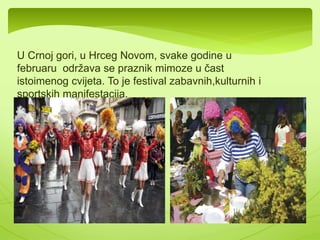 Mnoge se koriste u ishrani čovjeka i 
životinja: 
Lucerka(Medicago sativa) Grašak(Pisum sativum) Pasulj(Phaseolus 
vulgaris) 
 