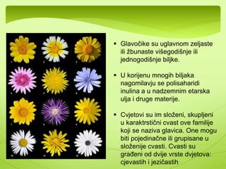 Večina sadrži eterska ulja koja ima daju karakterističnu aromu. 
Koriste se kao ljekovite, začinske biljke.Takve su: 
Nana 
(Mentha spicata) 
Majčina dušica 
(Thymus 
serpyllum) 
Ruzmarin 
(Rusmarnus 
officinales) 
 