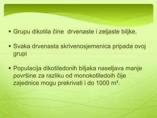  Grupu dikotila čine drvenaste i zeljaste biljke. 
 Svaka drvenasta skrivenosjemenica pripada ovoj 
grupi 
 Populacija dikotiledonih biljaka naseljava manje 
površine za razliku od monokotiledoih čije 
zajednice mogu prekrivati i do 1000 m². 
 U klasu dikotila spada mnogo porodica. Danas 
ćemo govoriti o deset: 
 