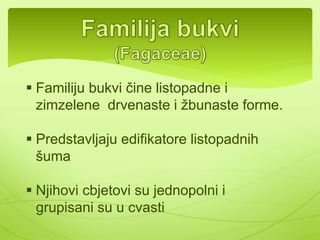 Prašnici 
Krunični i 
čašični listići 
Plod 
orašice, kod 
manjeg broja 
vrsta to su bobice 
ili čaure 
Korije 
n 
 