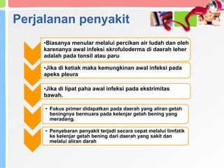 Perjalanan penyakit
•Biasanya menular melalui percikan air ludah dan oleh
karenanya awal infeksi skrofuloderma di daerah leher
adalah pada tonsil atau paru
•Jika di ketiak maka kemungkinan awal infeksi pada
apeks pleura
•Jika di lipat paha awal infeksi pada ekstrimitas
bawah.
• Fokus primer didapatkan pada daerah yang aliran getah
beningnya bermuara pada kelenjar getah bening yang
meradang.
• Penyebaran penyakit terjadi secara cepat melalui limfatik
ke kelenjar getah bening dari daerah yang sakit dan
melalui aliran darah
 