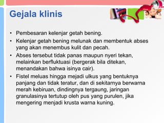 Gejala klinis
• Pembesaran kelenjar getah bening.
• Kelenjar getah bening melunak dan membentuk abses
yang akan menembus kulit dan pecah.
• Abses tersebut tidak panas maupun nyeri tekan,
melainkan berfluktuasi (bergerak bila ditekan,
menandakan bahwa isinya cair).
• Fistel meluas hingga mejadi ulkus yang bentuknya
panjang dan tidak teratur, dan di sekitarnya berwarna
merah kebiruan, dindingnya tergaung, jaringan
granulasinya tertutup oleh pus yang purulen, jika
mengering menjadi krusta warna kuning.
 