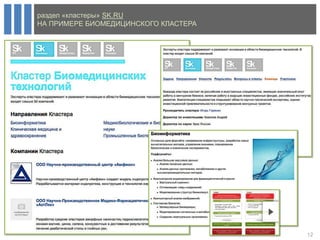 раздел «кластеры» SK.RU
НА ПРИМЕРЕ БИОМЕДИЦИНСКОГО КЛАСТЕРА




                                      12
 