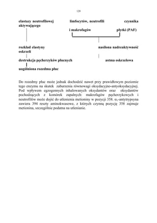 120


elastazy neutrofilowej          limfocytów, neutrofili             czynnika
aktywującego
                                i makrofagów                   płytki (PAF)



rozkład elastyny                                   nasilona nadreaktywność
oskrzeli

destrukcja pęcherzyków płucnych                          astma oskrzelowa

uogólniona rozedma płuc


Do rozedmy płuc może jednak dochodzić nawet przy prawidłowym poziomie
tego enzymu na skutek zaburzenia równowagi oksydacyjno-antyoksydacyjnej.
Pod wpływem egzogennych inhalowanych oksydantów oraz oksydantów
pochodzących z komórek zapalnych: makrofagów pęcherzykowych i
neutrofilów może dojść do utlenienia metioniny w pozycji 358. α1-antytrypsyna
zawiera 394 reszty aminokwasowe, z których czynną pozycję 358 zajmuje
metionina, szczególnie podatna na utlenianie.
 