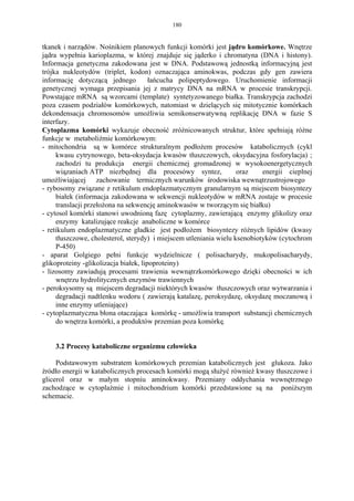 180


tkanek i narządów. Nośnikiem planowych funkcji komórki jest jądro komórkowe. Wnętrze
jądra wypełnia karioplazma, w której znajduje się jąderko i chromatyna (DNA i histony).
Informacja genetyczna zakodowana jest w DNA. Podstawową jednostką informacyjną jest
trójka nukleotydów (triplet, kodon) oznaczająca aminokwas, podczas gdy gen zawiera
informację dotyczącą jednego           łańcucha polipeptydowego. Uruchomienie informacji
genetycznej wymaga przepisania jej z matrycy DNA na mRNA w procesie transkrypcji.
Powstające mRNA są wzorcami (template) syntetyzowanego białka. Transkrypcja zachodzi
poza czasem podziałów komórkowych, natomiast w dzielących się mitotycznie komórkach
dekondensacja chromosomów umożliwia semikonserwatywną replikację DNA w fazie S
interfazy.
Cytoplazma komórki wykazuje obecność zróżnicowanych struktur, które spełniają różne
funkcje w metaboliźmie komórkowym:
- mitochondria są w komórce strukturalnym podłożem procesów katabolicznych (cykl
     kwasu cytrynowego, beta-oksydacja kwasów tłuszczowych, oksydacyjna fosforylacja) ;
     zachodzi tu produkcja energii chemicznej gromadzonej w wysokoenergetycznych
     wiązaniach ATP niezbędnej dla procesówy syntez,                oraz    energii cieplnej
umożliwiającej zachowanie termicznych warunków środowiska wewnątrzustrojowego
- rybosomy związane z retikulum endoplazmatycznym granularnym są miejscem biosyntezy
     białek (informacja zakodowana w sekwencji nukleotydów w mRNA zostaje w procesie
     translacji przełożona na sekwencję aminokwasów w tworzącym się białku)
- cytosol komórki stanowi uwodnioną fazę cytoplazmy, zawierającą enzymy glikolizy oraz
     enzymy katalizujące reakcje anaboliczne w komórce
- retikulum endoplazmatyczne gładkie jest podłożem biosyntezy różnych lipidów (kwasy
     tłuszczowe, cholesterol, sterydy) i miejscem utleniania wielu ksenobiotyków (cytochrom
     P-450)
- aparat Golgiego pełni funkcje wydzielnicze ( polisacharydy, mukopolisacharydy,
glikoproteiny -glikolizacja białek, lipoproteiny)
- lizosomy zawiadują procesami trawienia wewnątrzkomórkowego dzięki obecności w ich
     wnętrzu hydrolitycznych enzymów trawiennych
- peroksysomy są miejscem degradacji niektórych kwasów tłuszczowych oraz wytwarzania i
     degradacji nadtlenku wodoru ( zawierają katalazę, peroksydazę, oksydazę moczanową i
     inne enzymy utleniające)
- cytoplazmatyczna błona otaczająca komórkę - umożliwia transport substancji chemicznych
     do wnętrza komórki, a produktów przemian poza komórkę.


    3.2 Procesy kataboliczne organizmu człowieka

     Podstawowym substratem komórkowych przemian katabolicznych jest glukoza. Jako
żródło energii w katabolicznych procesach komórki mogą służyć również kwasy tłuszczowe i
glicerol oraz w małym stopniu aminokwasy. Przemiany oddychania wewnętrznego
zachodzące w cytoplaźmie i mitochondrium komórki przedstawione są na poniższym
schemacie.
 