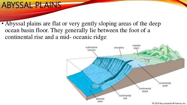 Ocean Bottom Topography