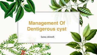 Lena Aloufi
Management Of
Dentigerous cyst
 