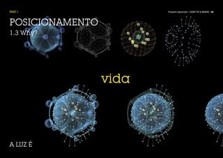 FASE 1                  Projecto Aplicado / LIGHT UP A BRAND / 28




POSICIONAMENTO
1.3 Why?




                 vida




A LUZ É
 