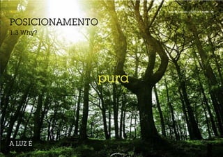 FASE 1              Projecto Aplicado / LIGHT UP A BRAND / 29




POSICIONAMENTO
1.3 Why?




             pura



A LUZ É
 