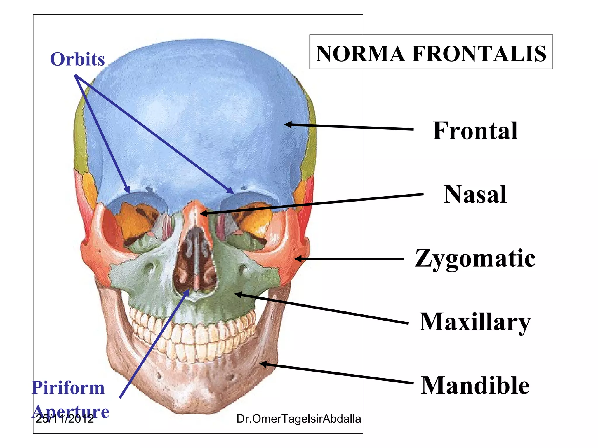 Apa Format 7th Edition References Page Example