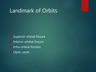 Landmark of Orbits
 Superior orbital fissure
 Inferior orbital fissure
 Infra orbital formen
 Optic canal
 