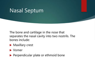 Nasal Septum
The bone and cartilage in the nose that
separates the nasal cavity into two nostrils. The
bones include:
 Maxillary crest
 Vomer
 Perpendicular plate or ethmoid bone
 