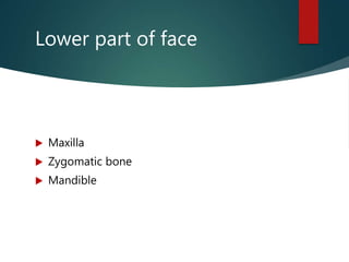 Lower part of face
 Maxilla
 Zygomatic bone
 Mandible
 