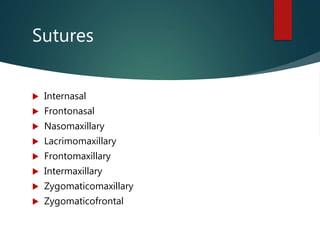 Sutures
 Internasal
 Frontonasal
 Nasomaxillary
 Lacrimomaxillary
 Frontomaxillary
 Intermaxillary
 Zygomaticomaxillary
 Zygomaticofrontal
 