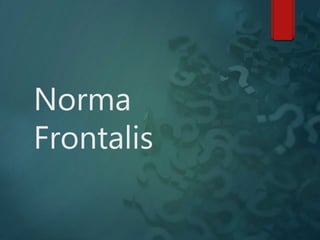 Norma
Frontalis
 