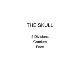 THE SKULL
2 Divisions
Cranium
Face
 
