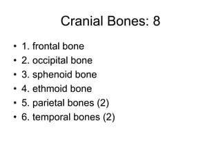 Cranial Bones: 8
• 1. frontal bone
• 2. occipital bone
• 3. sphenoid bone
• 4. ethmoid bone
• 5. parietal bones (2)
• 6. temporal bones (2)
 