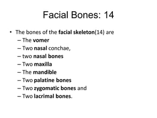 Facial Bones: 14
• The bones of the facial skeleton(14) are
– The vomer
– Two nasal conchae,
– two nasal bones
– Two maxilla
– The mandible
– Two palatine bones
– Two zygomatic bones and
– Two lacrimal bones.
 