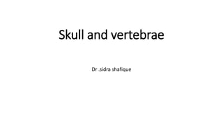 Skull and vertebrae
Dr .sidra shafique
 