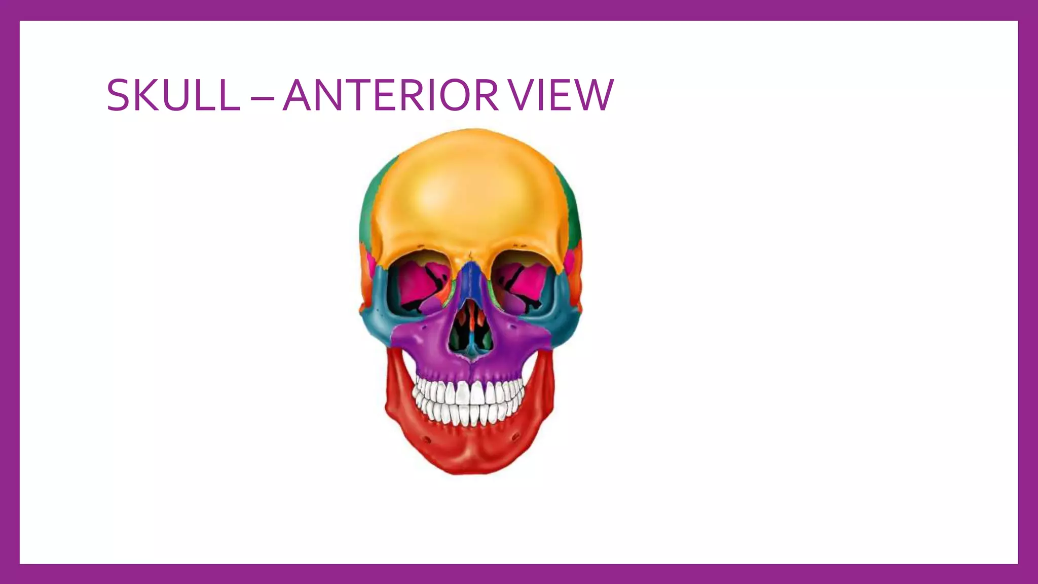 Skull Radiography techniques and reporting | PPTX