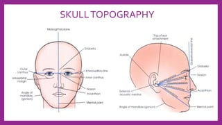 SKULLTOPOGRAPHY
 