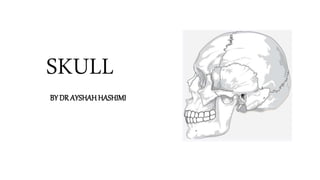 SKULL
BY DR AYSHAH HASHIMI
 