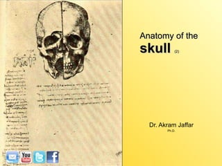 Anatomy of the skull  (2) Dr. Akram Jaffar Ph.D. 