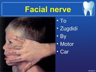 Facial nerve
• To
• Zugdidi
• By
• Motor
• Car
 