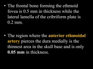 • The frontal bone forming the ethmoid
fovea is 0.5 mm in thickness while the
lateral lamella of the cribriform plate is
0.2 mm.
• The region where the anterior ethmoidal
artery pierces the dura medially is the
thinnest area in the skull base and is only
0.05 mm in thickness.
 