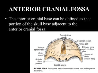 ANTERIOR CRANIAL FOSSA
• The anterior cranial base can be defined as that
portion of the skull base adjacent to the
anterior cranial fossa.
 