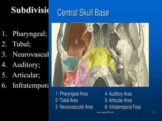 Subdivisions of the lateral skull base
1. Pharyngeal;
2. Tubal;
3. Neurovascular;
4. Auditory;
5. Articular;
6. Infratemporal fossa.
 