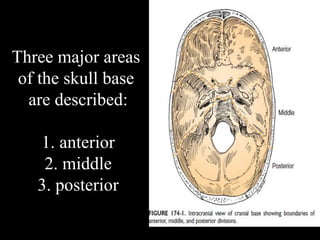 Three major areas
of the skull base
are described:
1. anterior
2. middle
3. posterior
 