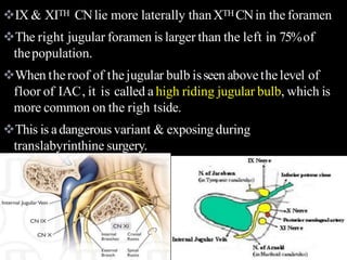 IX & XITH CNlie more laterally thanXTH CNin the foramen
The right jugular foramen is larger than the left in 75%of
thepopulation.
When theroof of thejugular bulb isseen abovethelevel of
floor of IAC, it is called a high riding jugular bulb, which is
more common on the righ tside.
This is adangerous variant & exposing during
translabyrinthine surgery.
 
