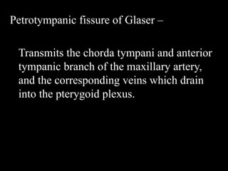 Petrotympanic fissure of Glaser –
Transmits the chorda tympani and anterior
tympanic branch of the maxillary artery,
and the corresponding veins which drain
into the pterygoid plexus.
 