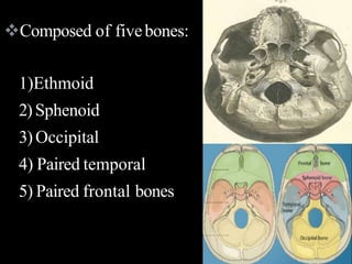 Composed of fivebones:
1)Ethmoid
2)Sphenoid
3)Occipital
4) Paired temporal
5) Paired frontal bones
 