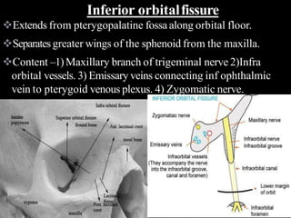 Extends from pterygopalatine fossaalong orbital floor.
Separatesgreater wings of the sphenoid from the maxilla.
Content –1)Maxillary branch of trigeminal nerve 2)Infra
orbital vessels. 3) Emissary veins connecting inf ophthalmic
vein to pterygoid venous plexus. 4) Zygomatic nerve.
Inferior orbitalfissure
 