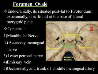 Foramen Ovale
Endocranially, its situatedpost-lat to F.rotundum;
exocranially, it is found at the base of lateral
pterygoid plate.
Contents :-
1)Mandibular Nerve
2)Accessory meningeal
nerve
3) Lesser petrosal nerve
4)Emissary vein
5)Occasionally ant. trunk of middle meningealartery
 