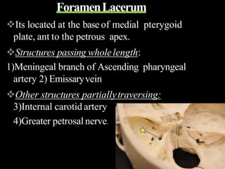 ForamenLacerum
Its located at the base of medial pterygoid
plate, ant to the petrous apex.
Structures passing wholelength:
1)Meningeal branch of Ascending pharyngeal
artery 2) Emissaryvein
Other structures partiallytraversing:
3)Internal carotid artery
4)Greater petrosal nerve.
 