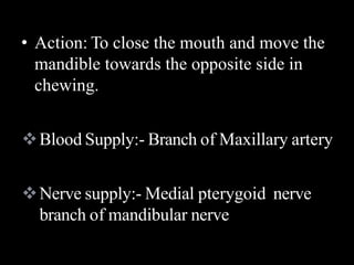 • Action: To close the mouth and move the
mandible towards the opposite side in
chewing.
Blood Supply:- Branch of Maxillary artery
Nerve supply:- Medial pterygoid nerve
branch of mandibular nerve
 